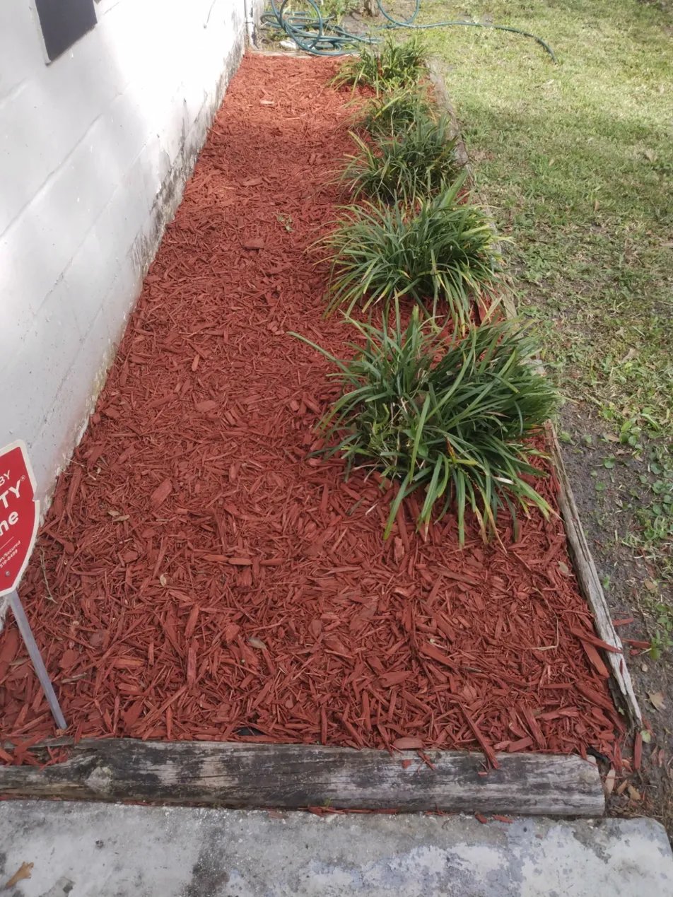 After — fresh mulch laid clean garden bed
