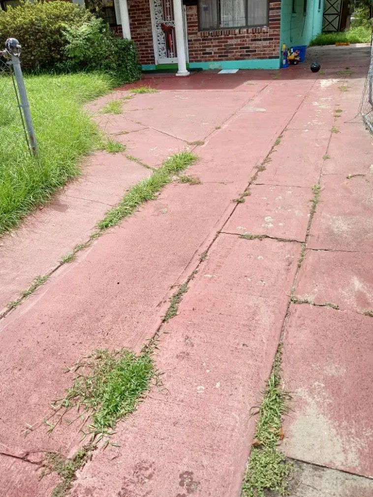 Before — weeds through concrete